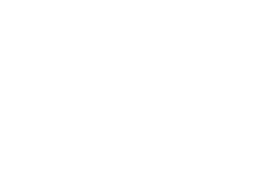 Logo Renovierungsguru