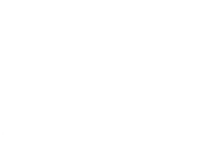 Logo W&S Gruppe